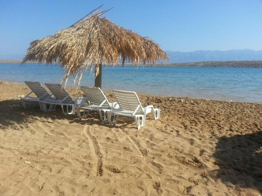 Apartments Oaza, Vrsi Mulo Dış mekan fotoğraf